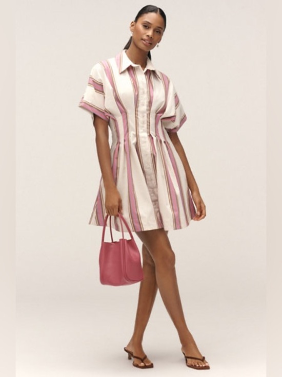 Anthropologie Dresses & Skirts - Anthropologie Exquise The Tobie Button-Front Pleated Mini Shirtdress